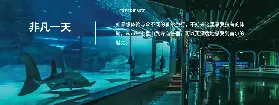 資訊圖片