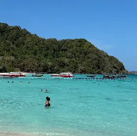 資訊圖片
