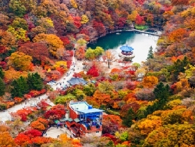 韓國其他