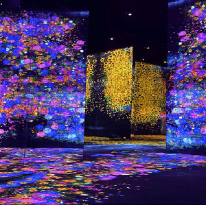 澳門威尼斯人TeamLab超自然空間門票