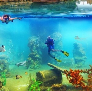 佛山長鹿旅遊休博園機動觀演套票