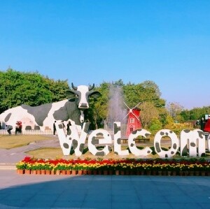 深圳光明農場大觀園門票