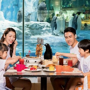 珠海長隆企鵝酒店自助早午聯餐票