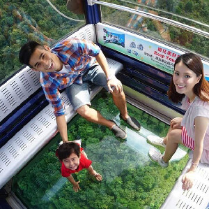 香港大嶼山昂坪360纜車全景車廂