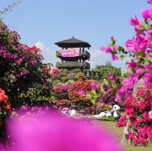惠州千花洲生態景區門票