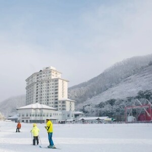 首爾出發 | Elysian伊利希安江村滑雪度假村+南怡島一日遊（一人成行，每日發團）