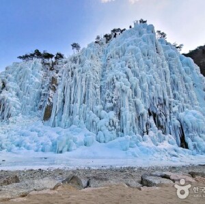 釜山出發| 青松冰谷+浦項Space Walk +慶州月精橋 一日遊