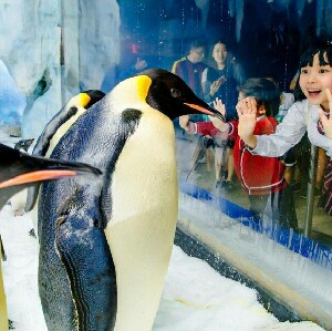 珠海長隆海洋王國+長隆飛船樂園雙園套票