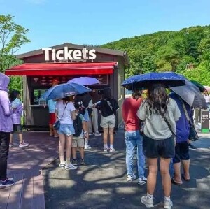 首爾出發| 草泥馬(羊駝)牧場+南怡島一日遊