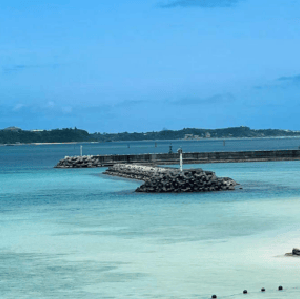 沖繩北部經典一日遊（萬座毛+古宇利島+海洋博公園+美麗海水族館）