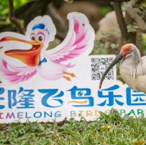 廣州長隆飛鳥樂園門票