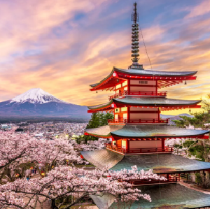 富士山伊豆深景二日遊