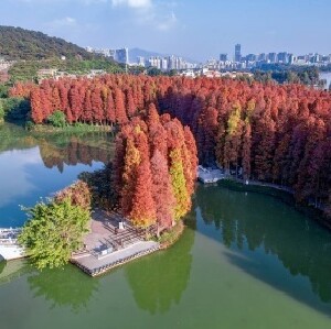 肇慶七星巖年卡票