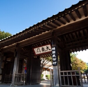 韓國民俗村+水原華城一日遊