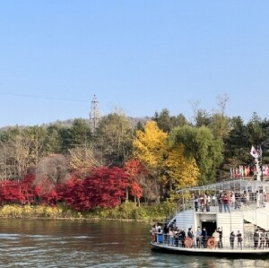 首爾出發| 草泥馬牧場+南怡島+晨靜樹木園一日遊