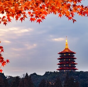 杭州雷峰塔+嶽王廟景區門票