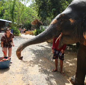 芭堤雅大象村Pattaya Elephant Village