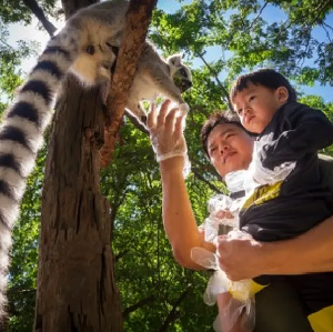 芭堤雅綠山動物園KK Open Zoo門票