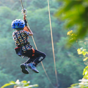 江門鶴山大雁山飛越叢林探險樂園遊玩套票