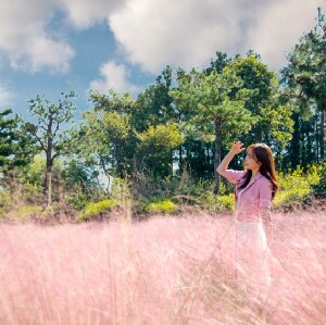 濟州休愛裏自然生活公園