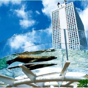 陽光水族館門票