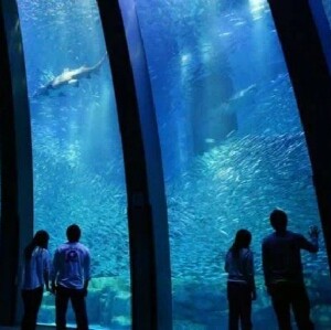 日本橫濱八景島海島樂園門票