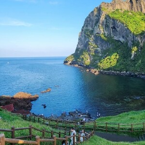 濟州島東部包車壹日遊B線(牛島+成山日出峰+濟州水族館+山君不離）中文司機
