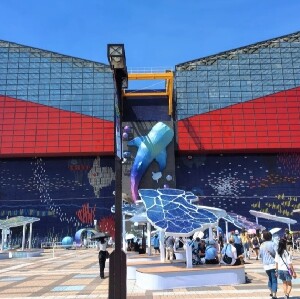 大阪海遊館門票