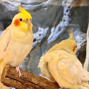 ZoolungZoolung室內動物園 慶州市 普門店