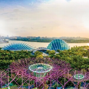 新加坡濱海灣花園門票