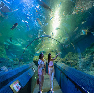 芭堤雅海底世界