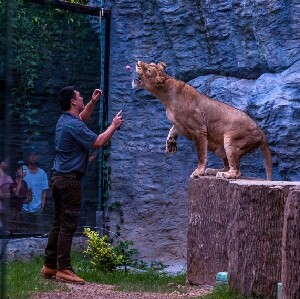 清邁夜間動物園【含酒店接送】