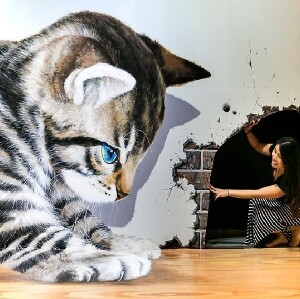 清邁3D立體美術館藝術館博物館