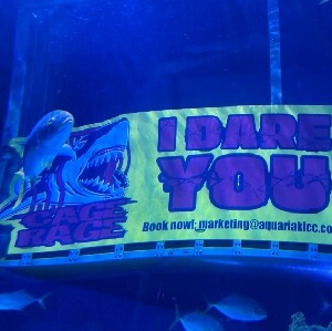 吉隆坡城中城水族館門票