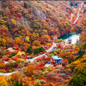首爾出發 | 2025年韓國全羅北道內藏山賞楓一日遊（每日發車）