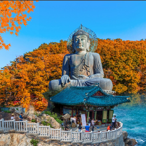 首爾出發 | 2025年韓國雪嶽山賞楓一日遊（每日發車，1人即可出行）