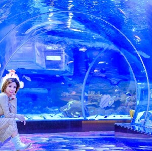 夏日避暑地——順德南宏海洋公園