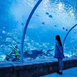 佛山南海海洋親子樂園