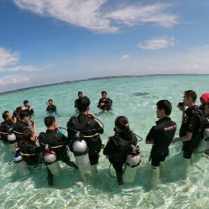 仙本那三島水肺潛水體驗（汀巴汀巴島+馬達京島+邦邦島）