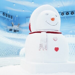 廣州正佳企鵝冰雪世界