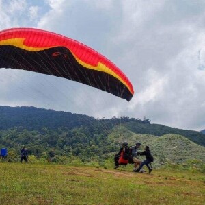亞庇Lohan滑翔傘 + Desa奶牛牧場 + 野豬肉體驗一日遊