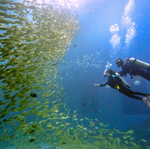 深圳小梅沙海洋世界