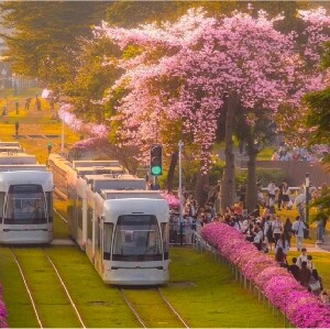 廣州海珠有軌電車1號線（廣州塔觀光列車）
