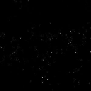 Bongawan 紅樹林遊船和螢火蟲之旅