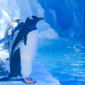 深圳恒遠海立方環遊城門票