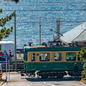 東京鐮倉長谷寺一日遊