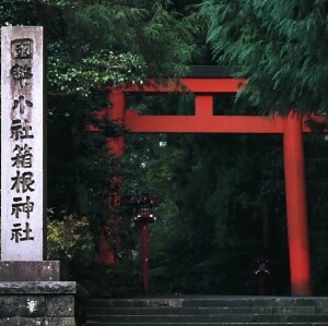 新富士山D線精品小團一日遊