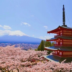 富士山G線精品小團一日遊