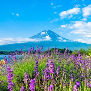 富士山羅森麥當勞雙網紅打卡一日遊