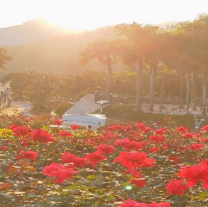 中山快活谷度假區門票